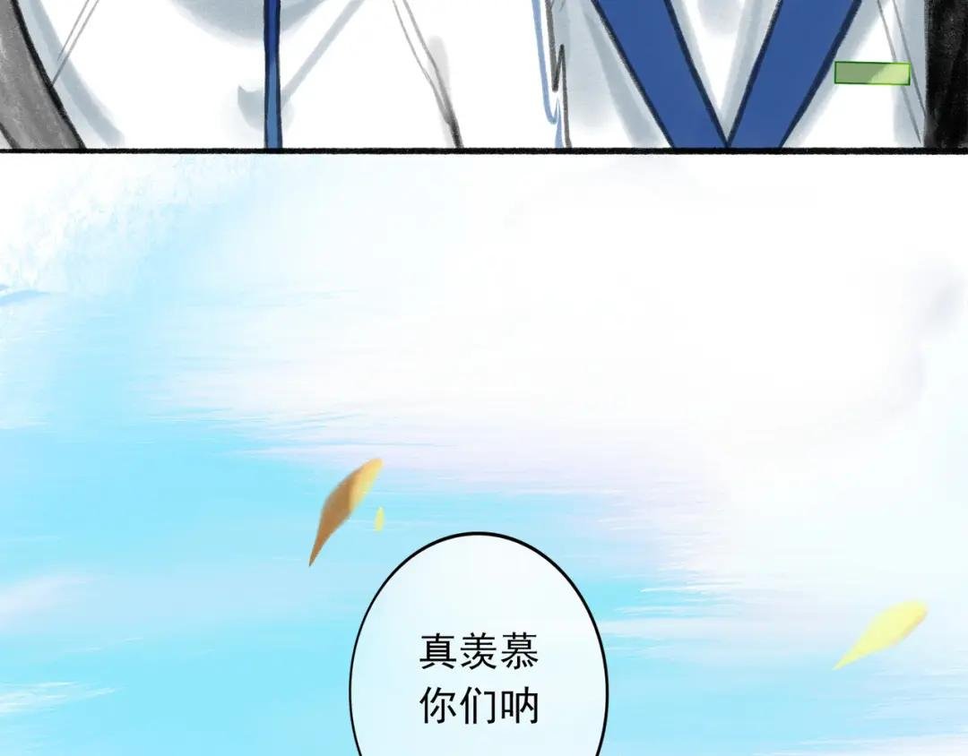 15.画像