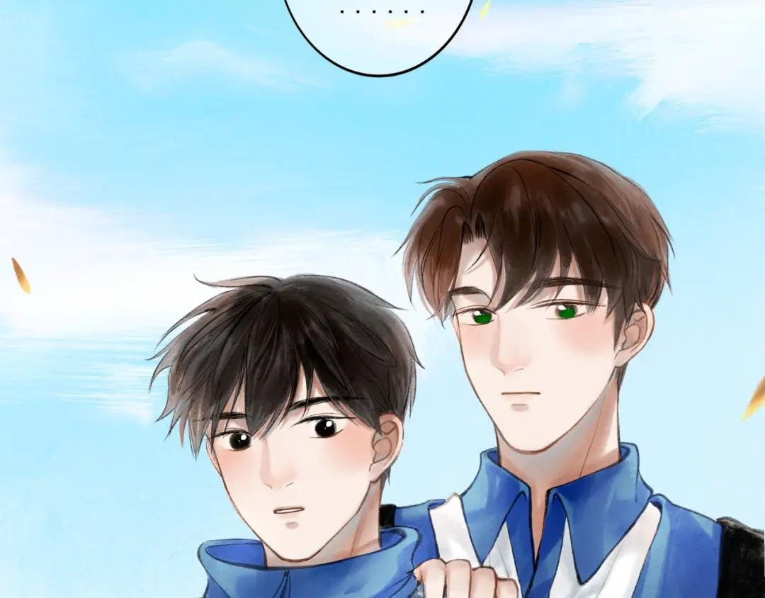 15.画像