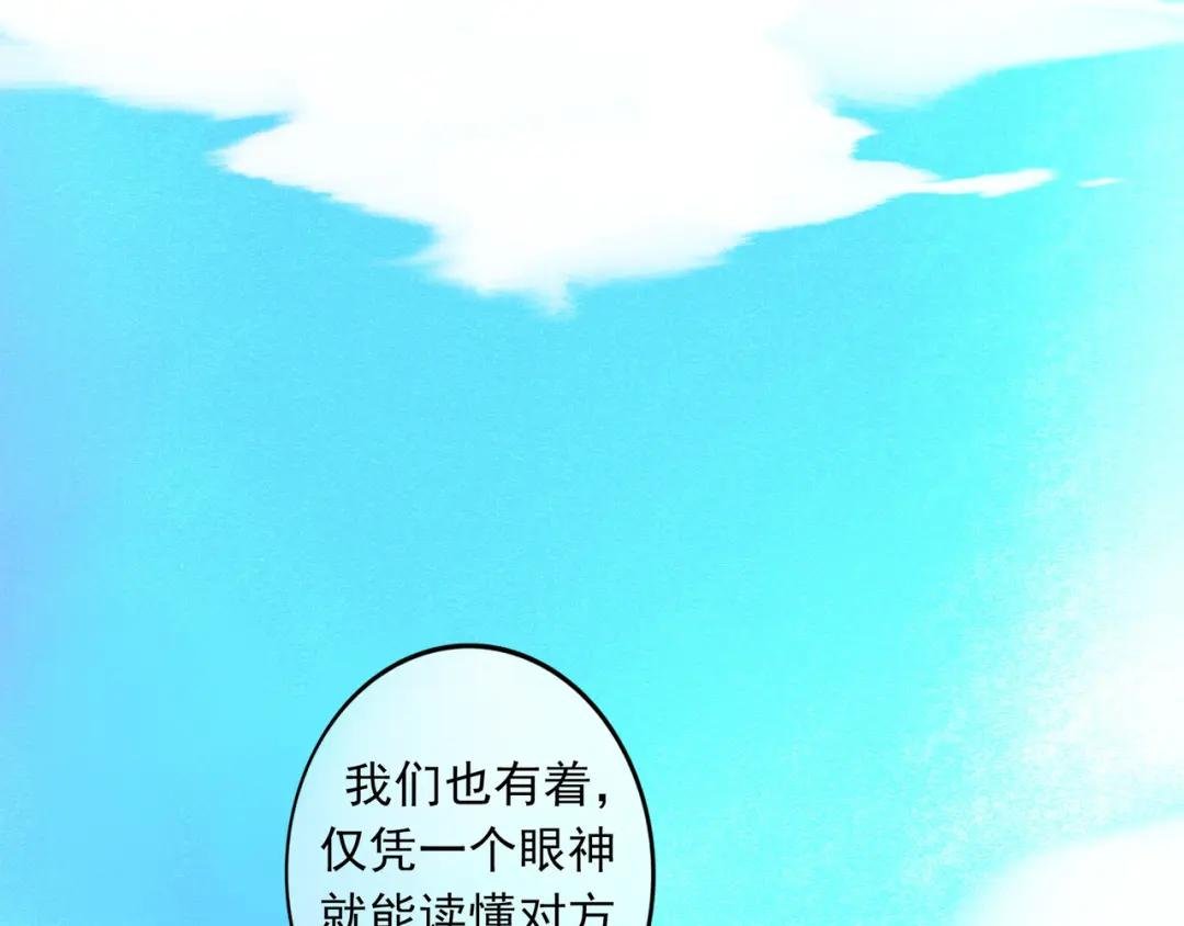 15.画像