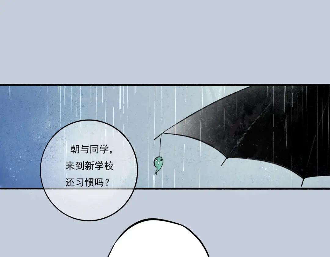 3.天井观猴