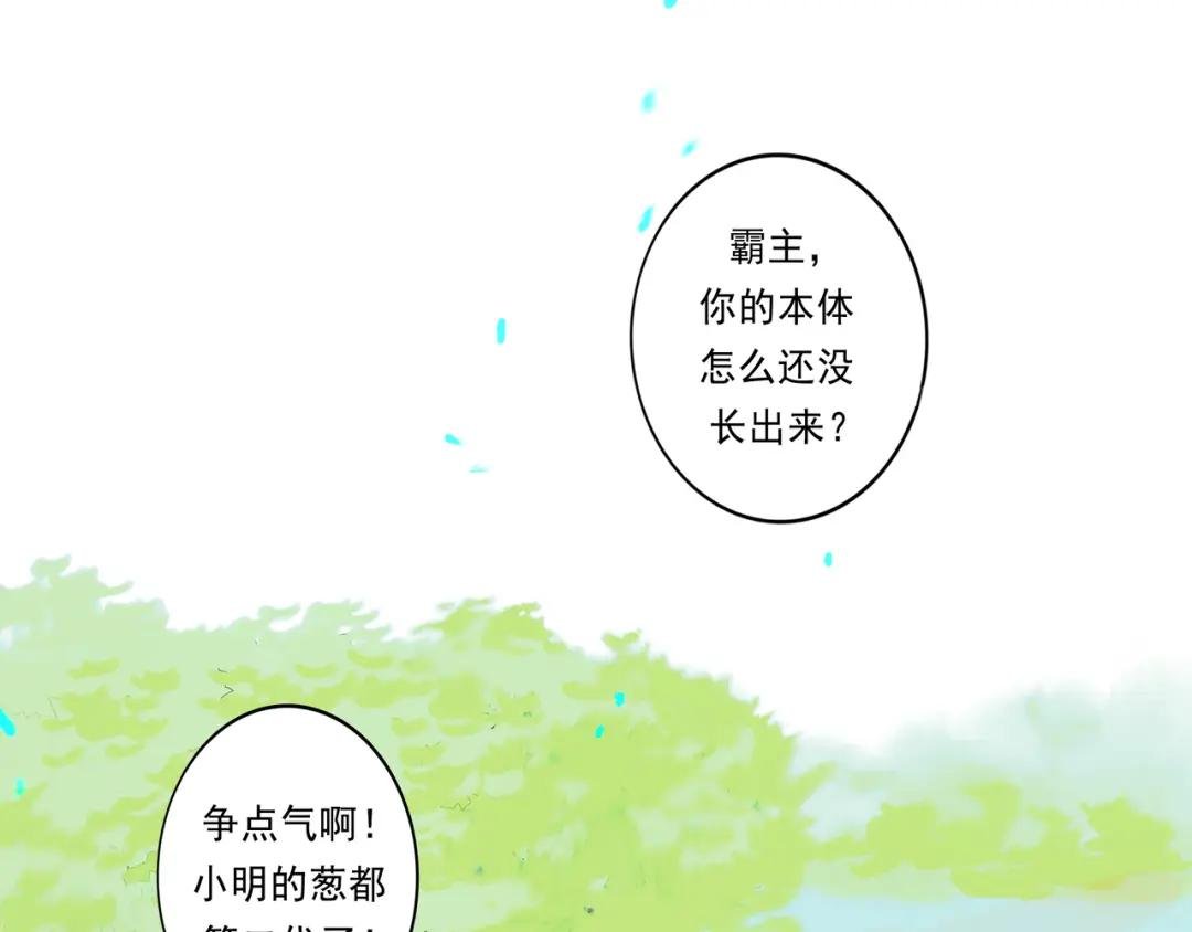 41.主角
