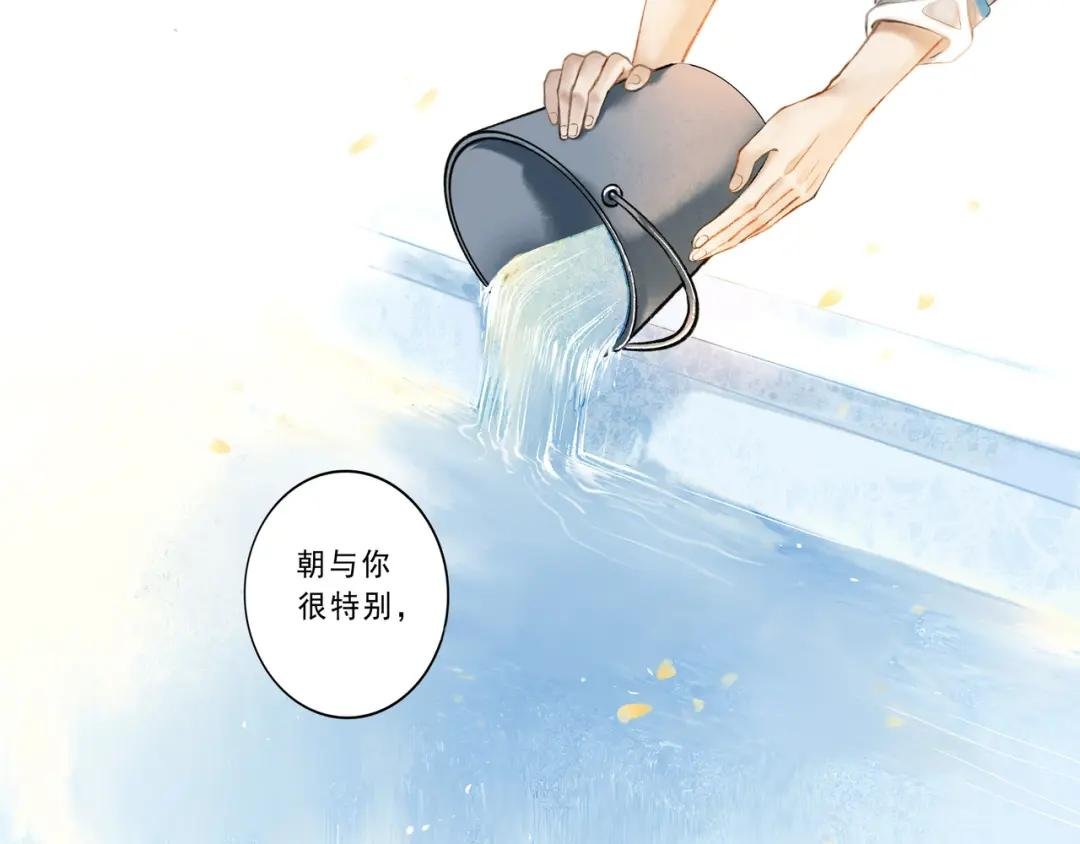 6.心中的角落