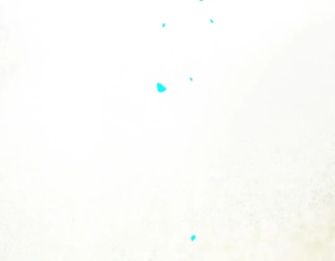 79.落石