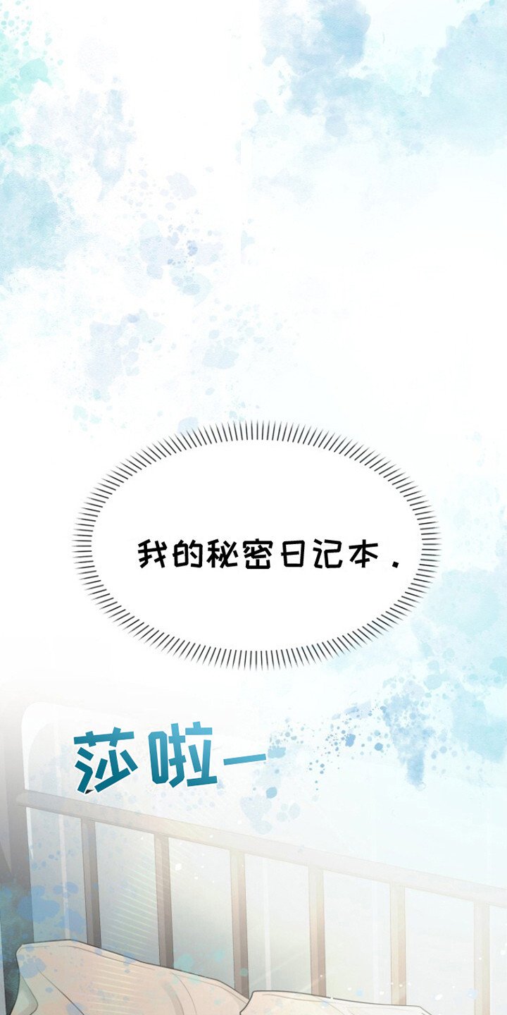 第12章：秘密日记本