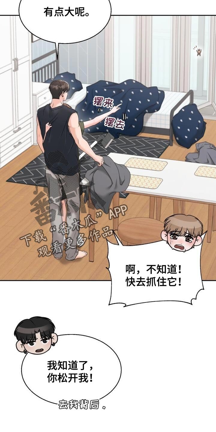 第51章：没什么好看的