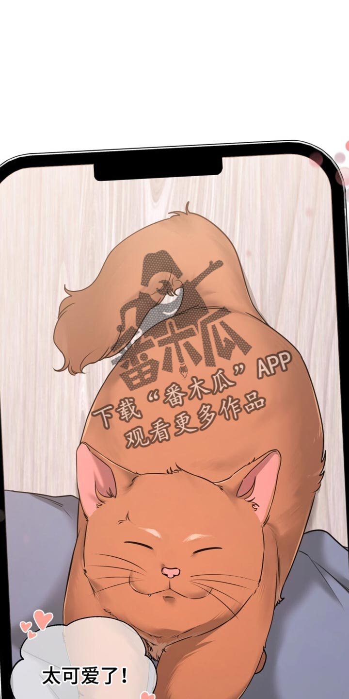 第70章：不要穿白色的衣服