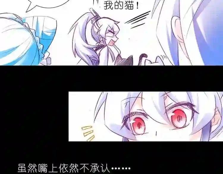 番外篇 飞天猫