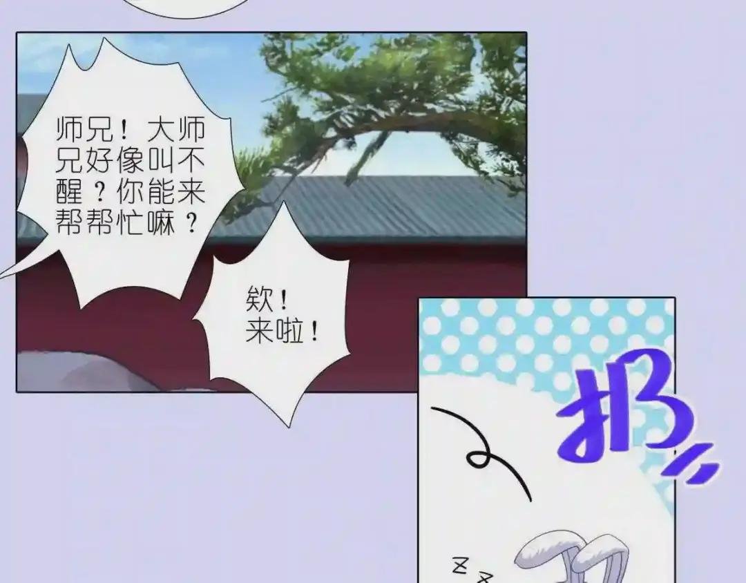 第447坑 大师兄,我们回去