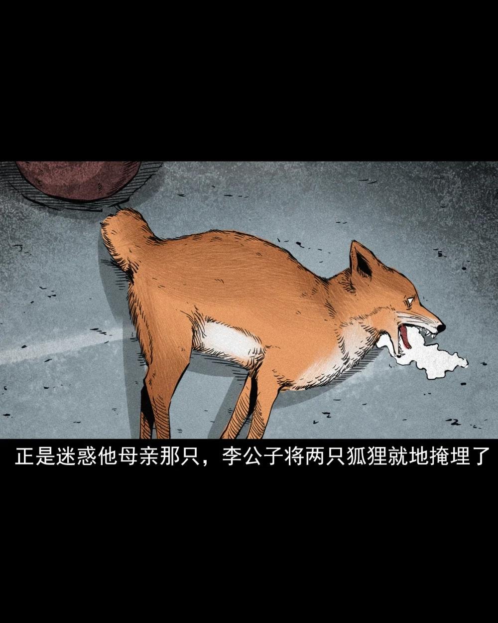 118 第118话少年智取淫狐