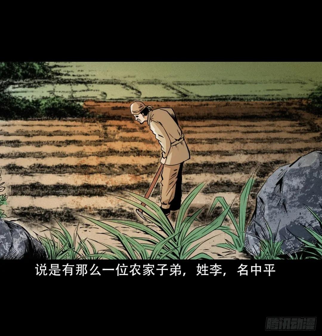 第32话长毛狐狸