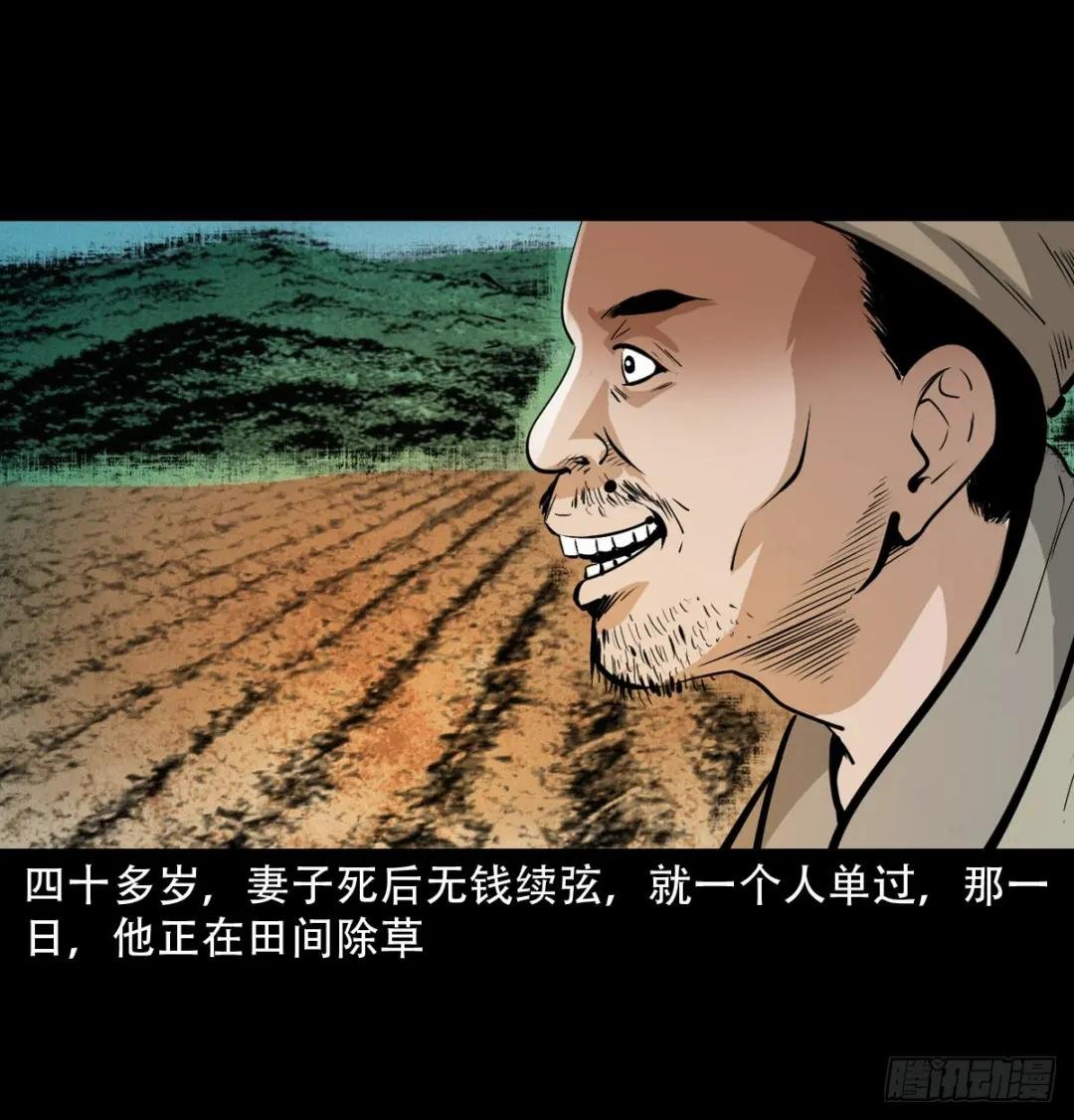 第32话长毛狐狸