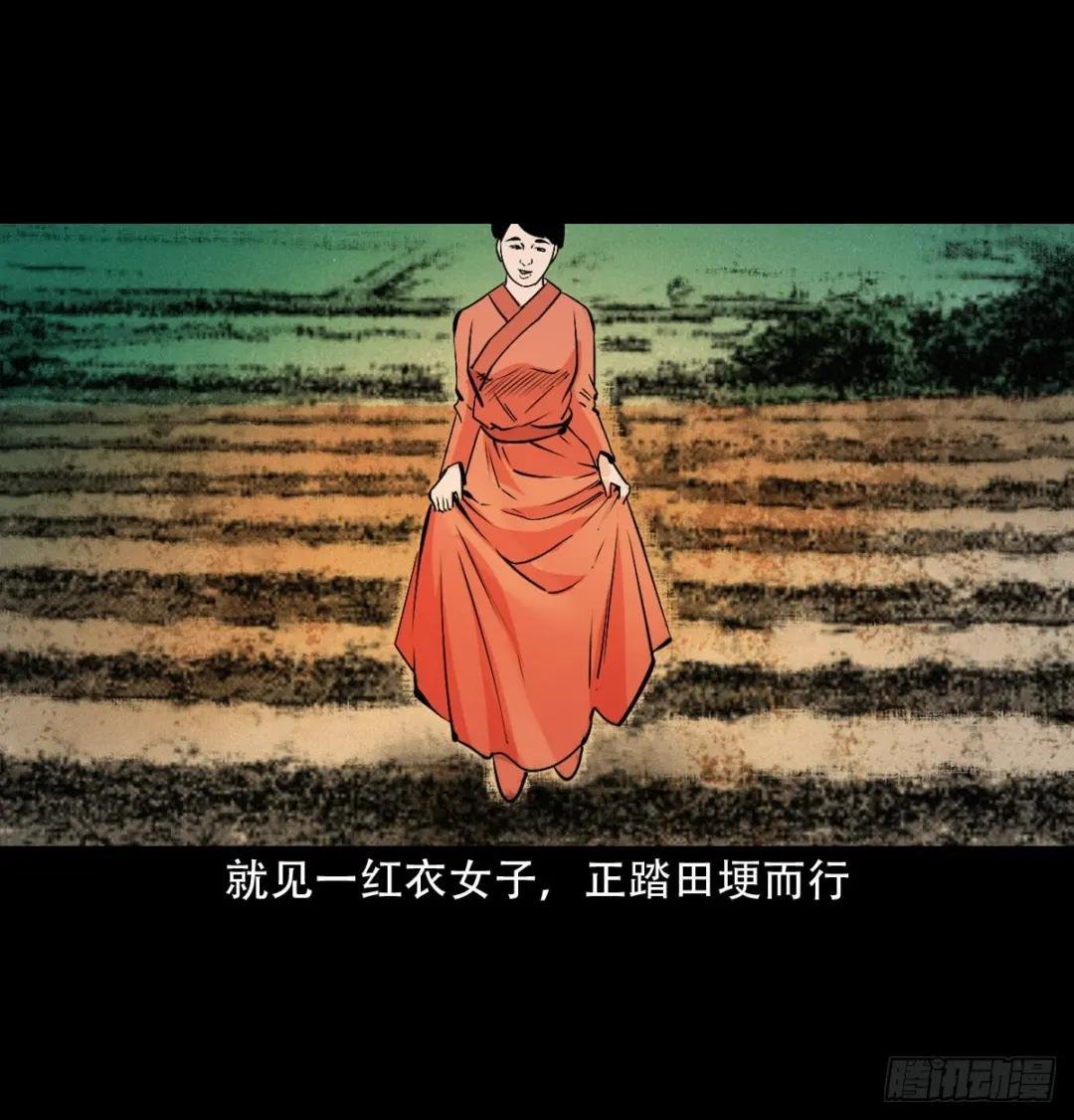 第32话长毛狐狸