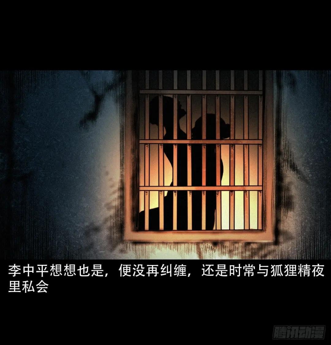 第32话长毛狐狸