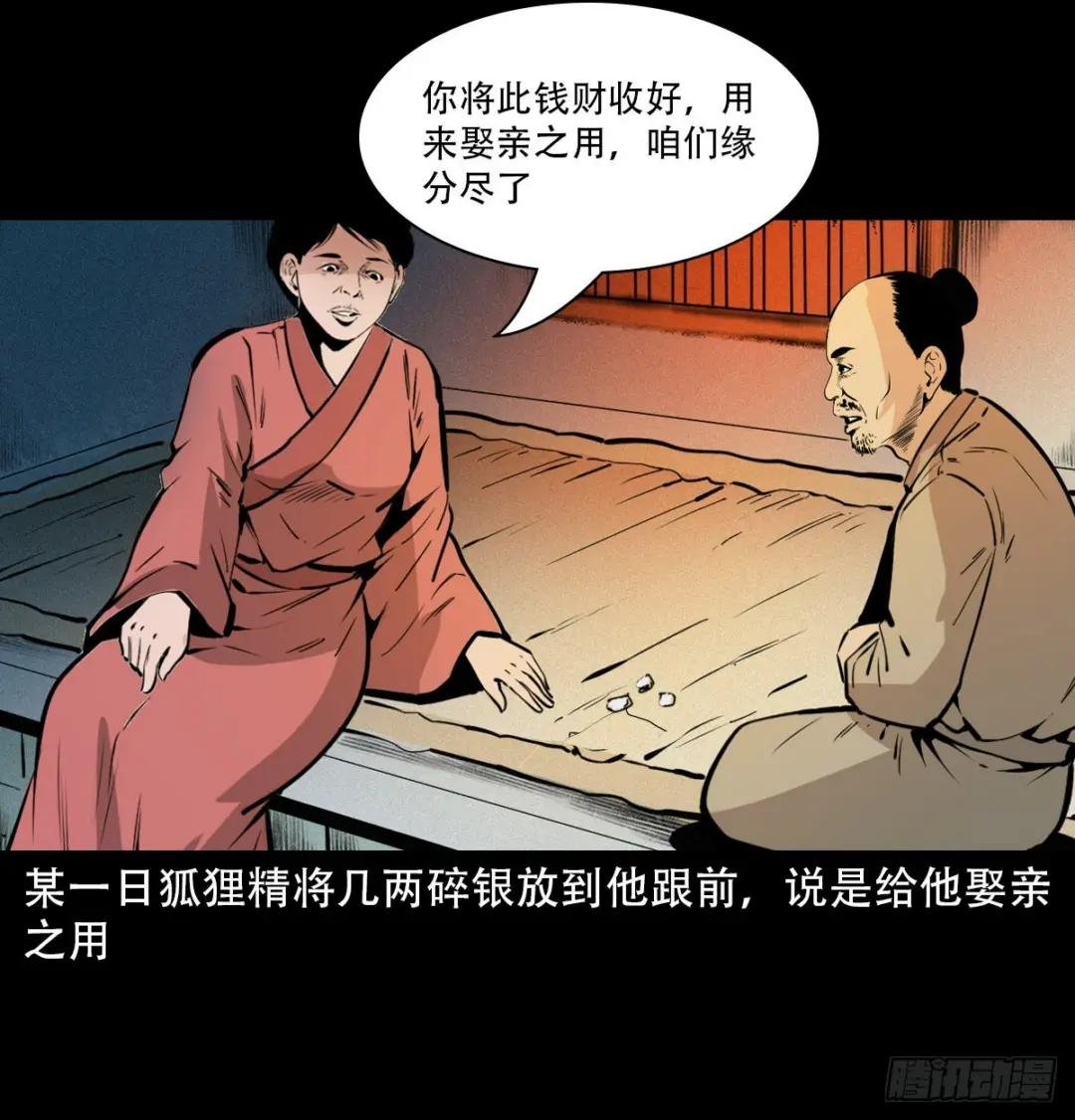 第32话长毛狐狸