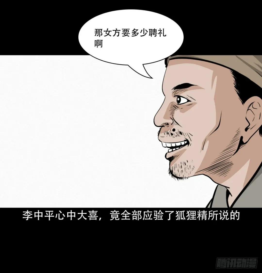 第32话长毛狐狸