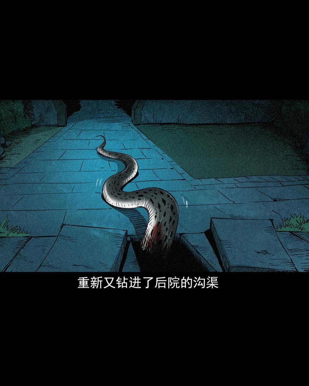 91 拜月妖鳝