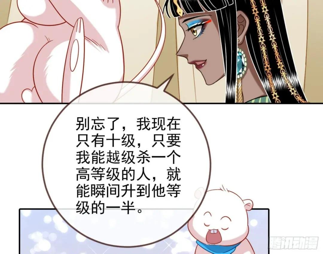 结婚的条件