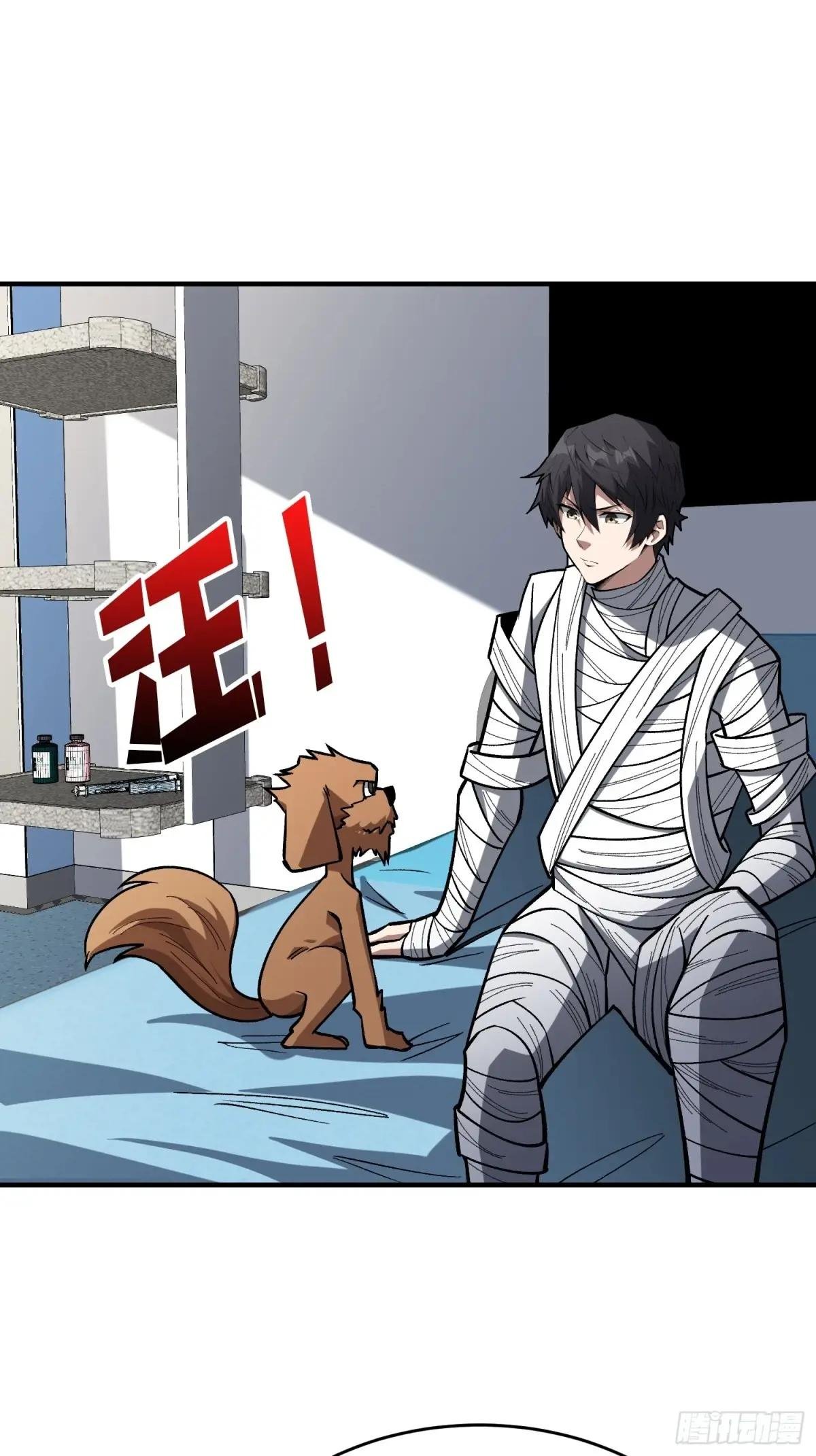 第275话 世界之巅