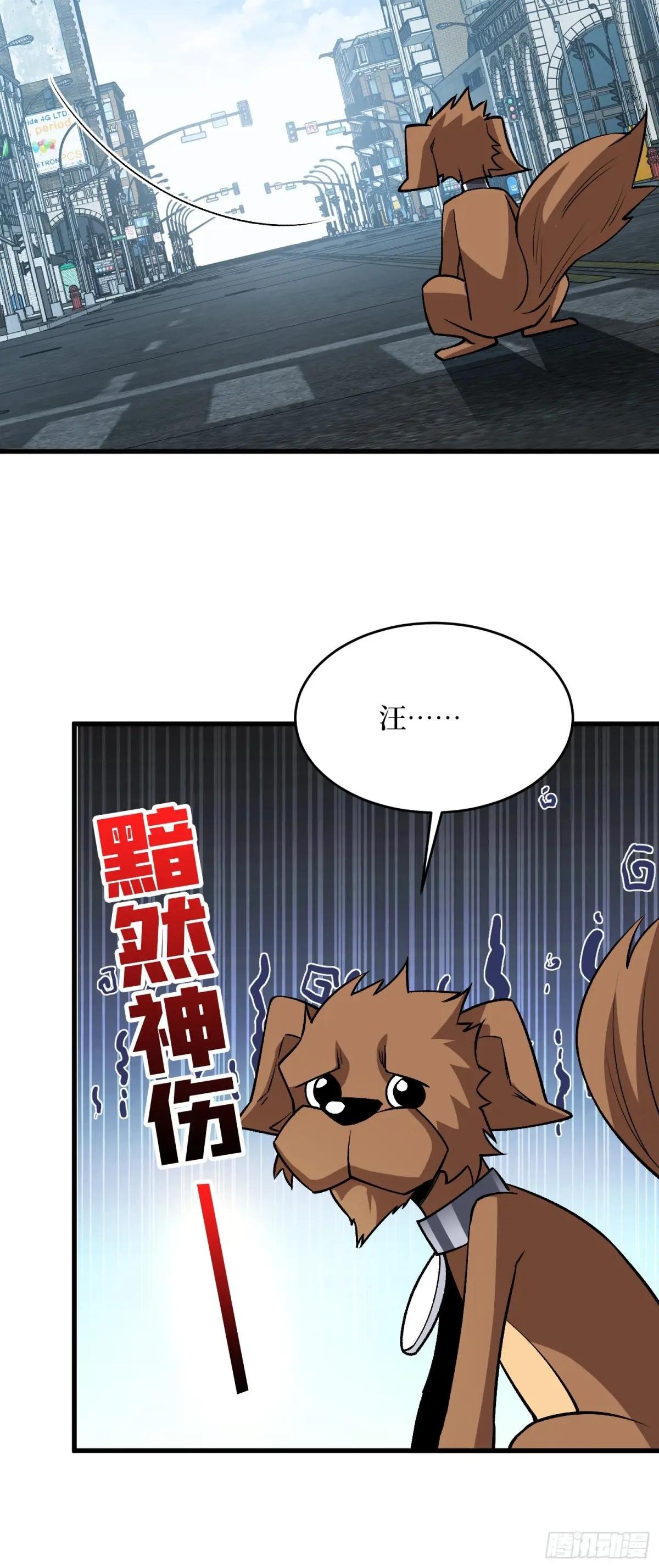 第322话 欢迎来到神崎市