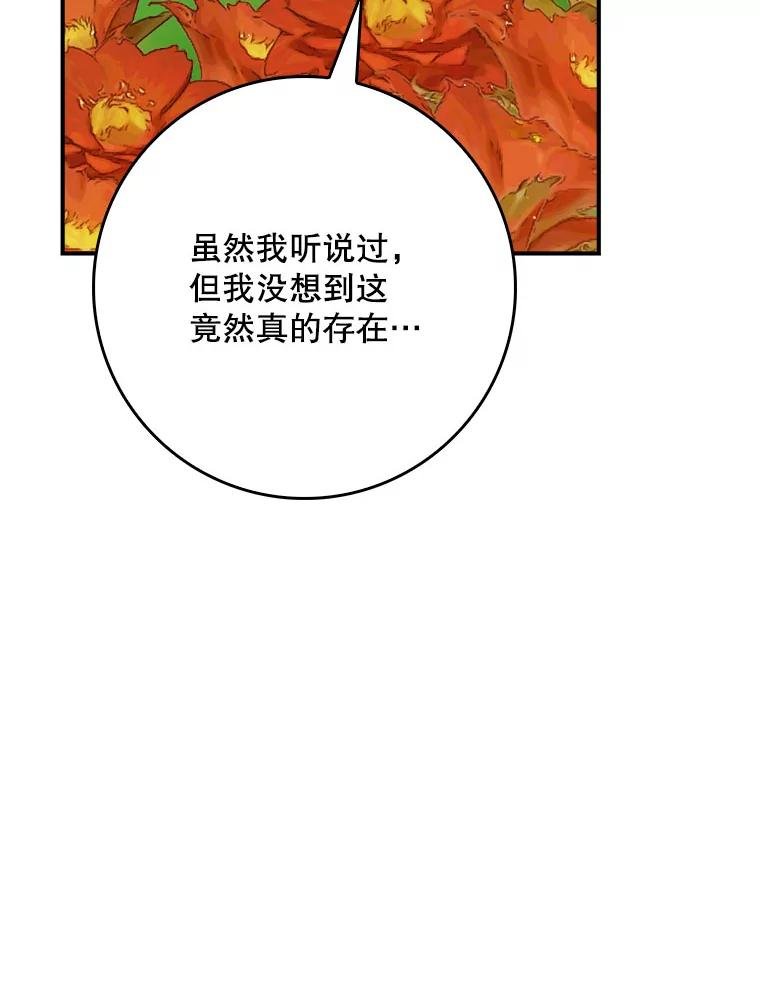 105.火烧白连草