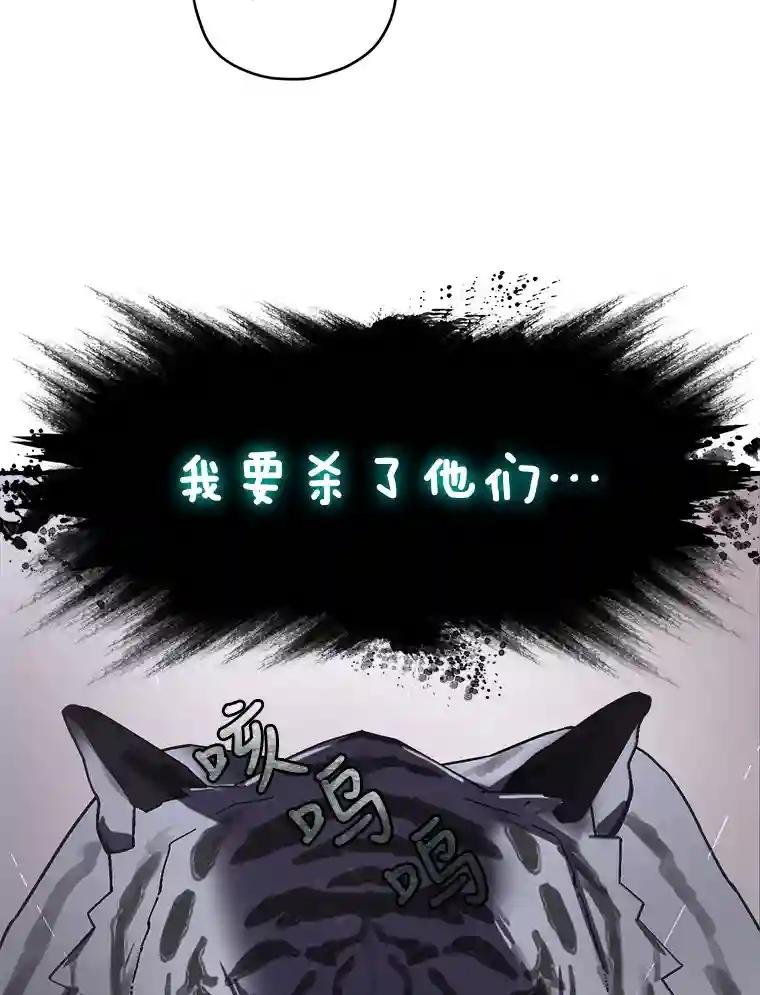 19.吴圭现身