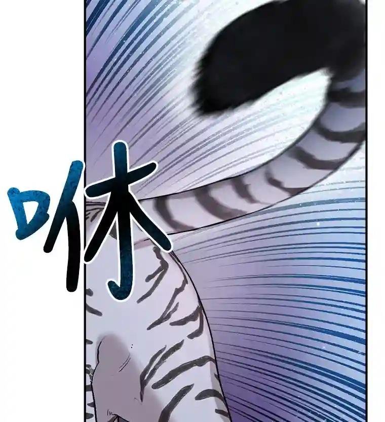 19.吴圭现身