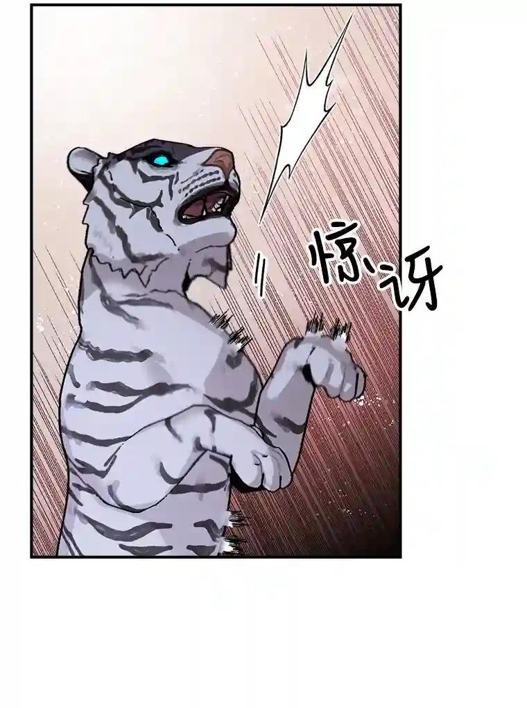 19.吴圭现身