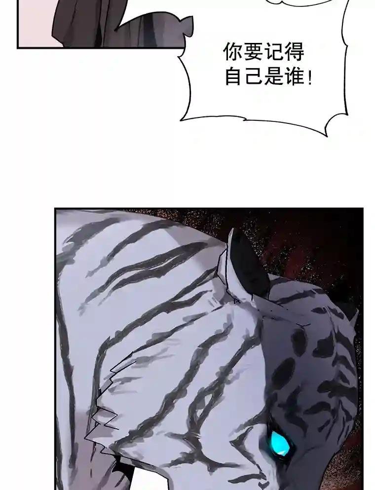 19.吴圭现身