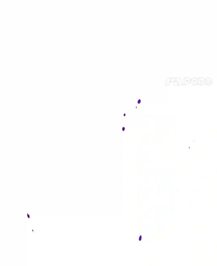 31.满眼尽是金刚石