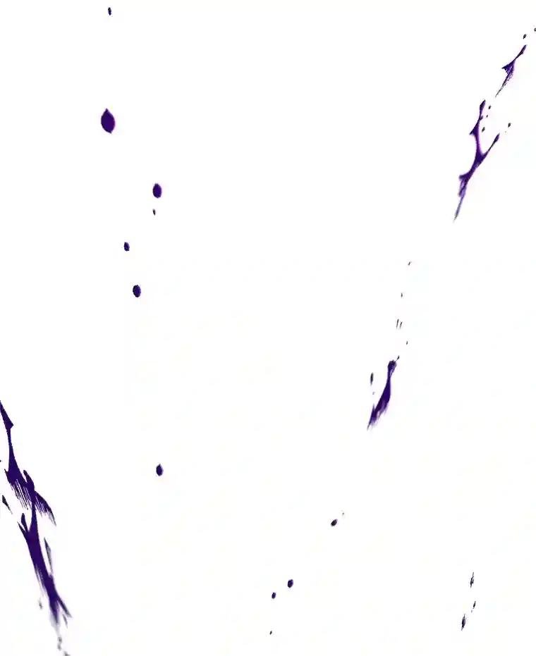 31.满眼尽是金刚石