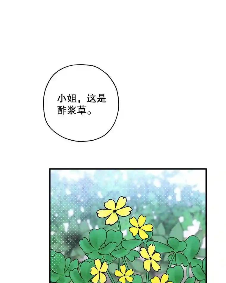 4.山中奇遇