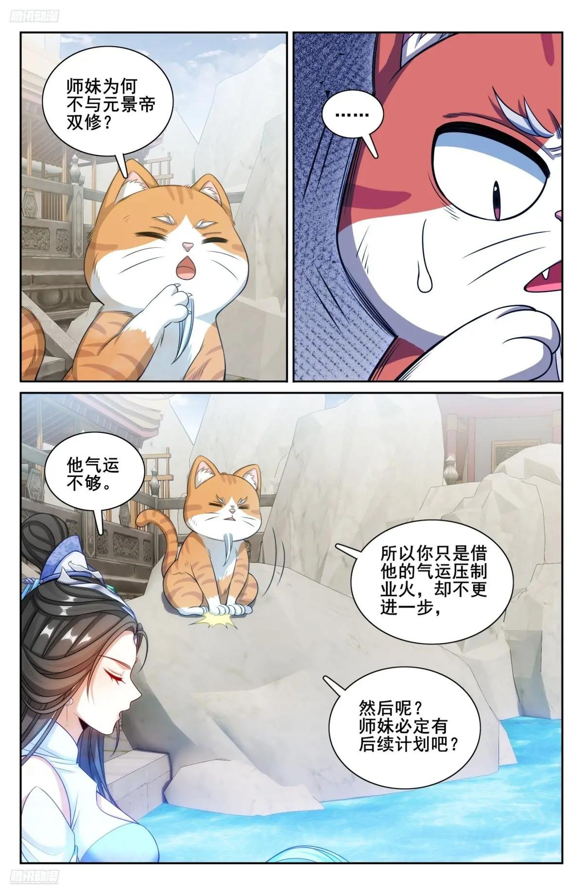 313查账