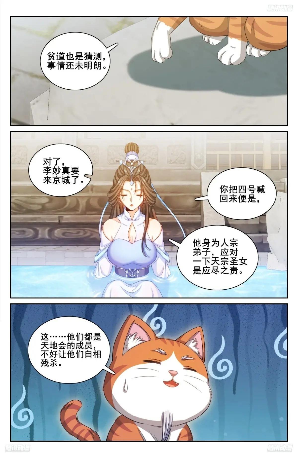 313查账