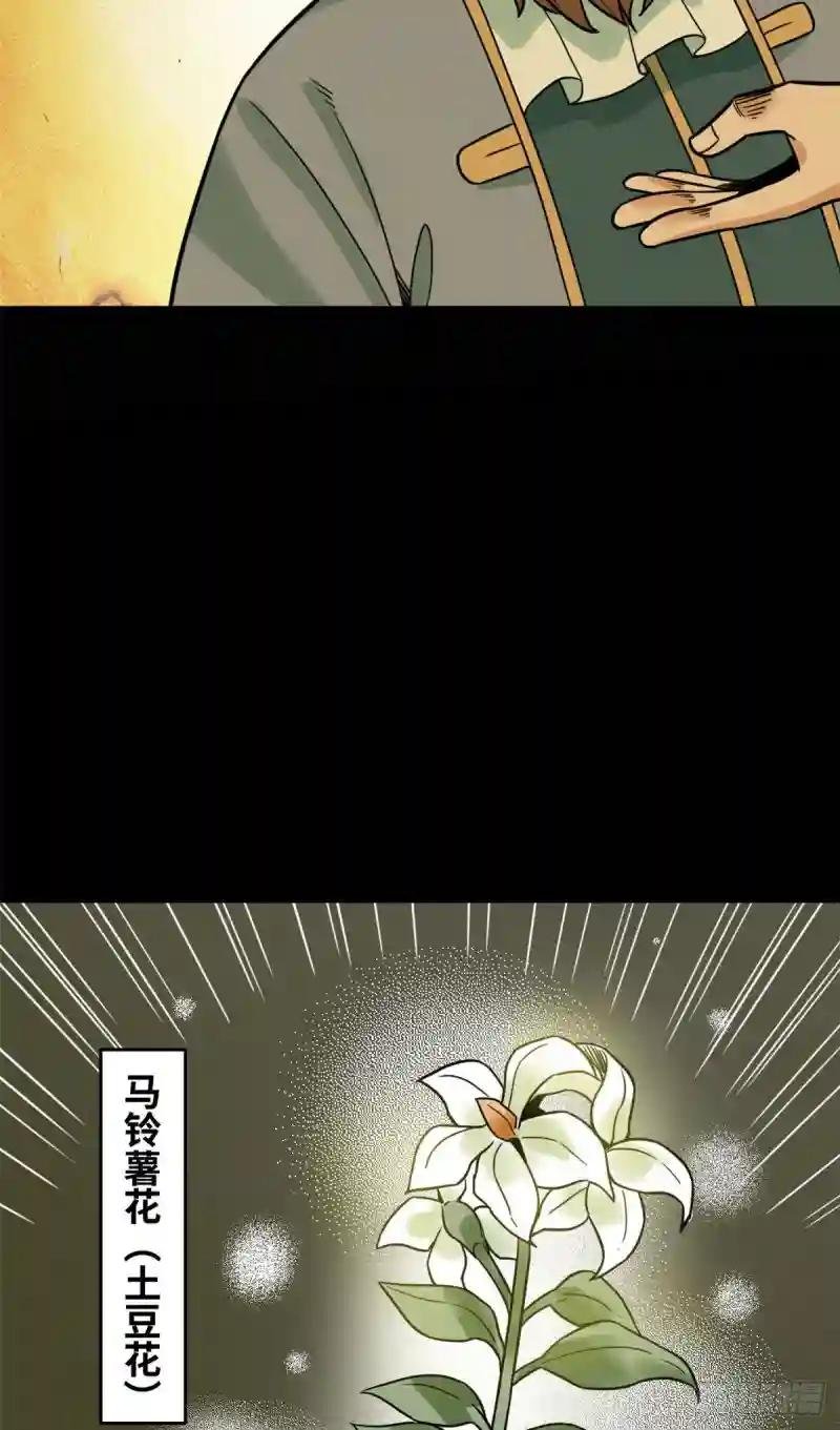 125 土豆与鞑靼