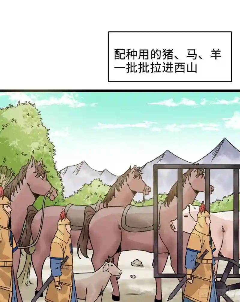 135 改良猪肉品质