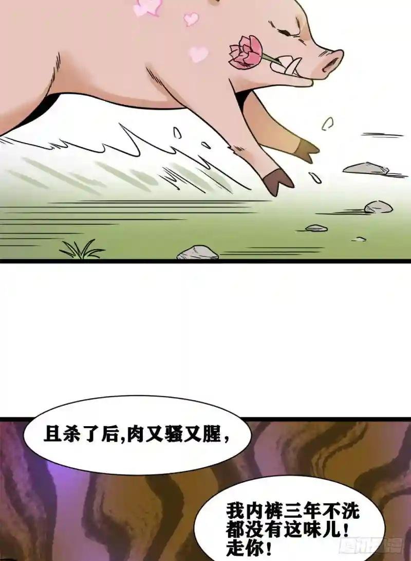 135 改良猪肉品质