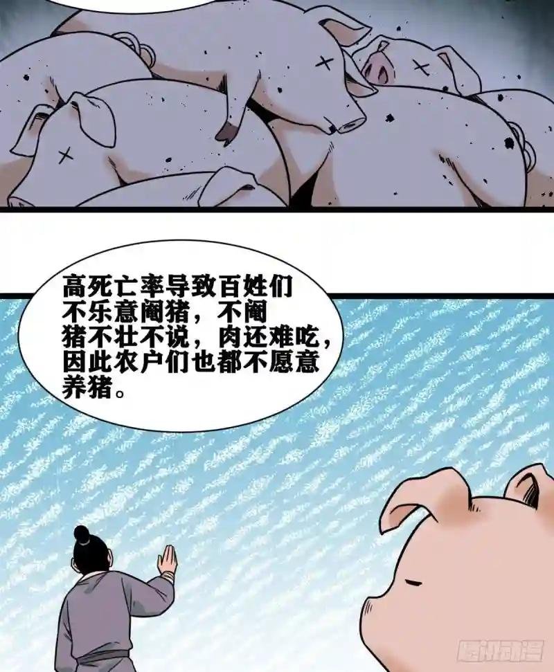 135 改良猪肉品质