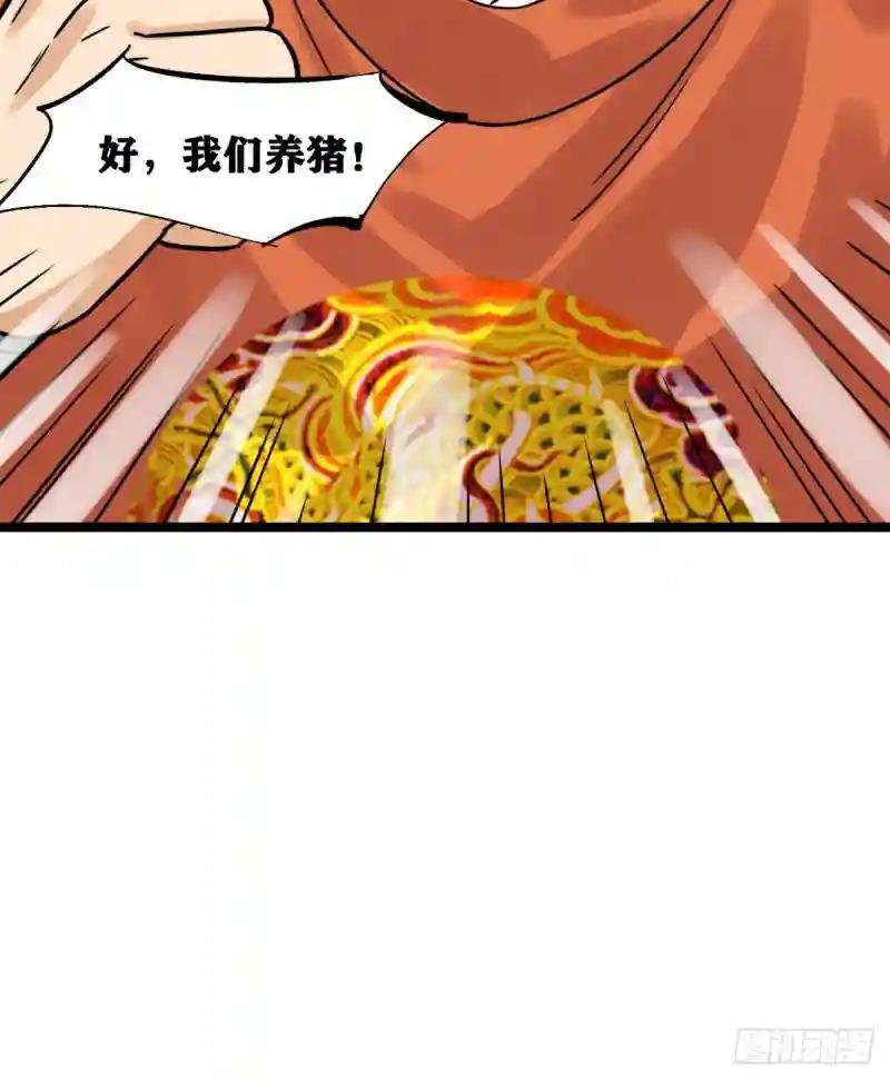 135 改良猪肉品质