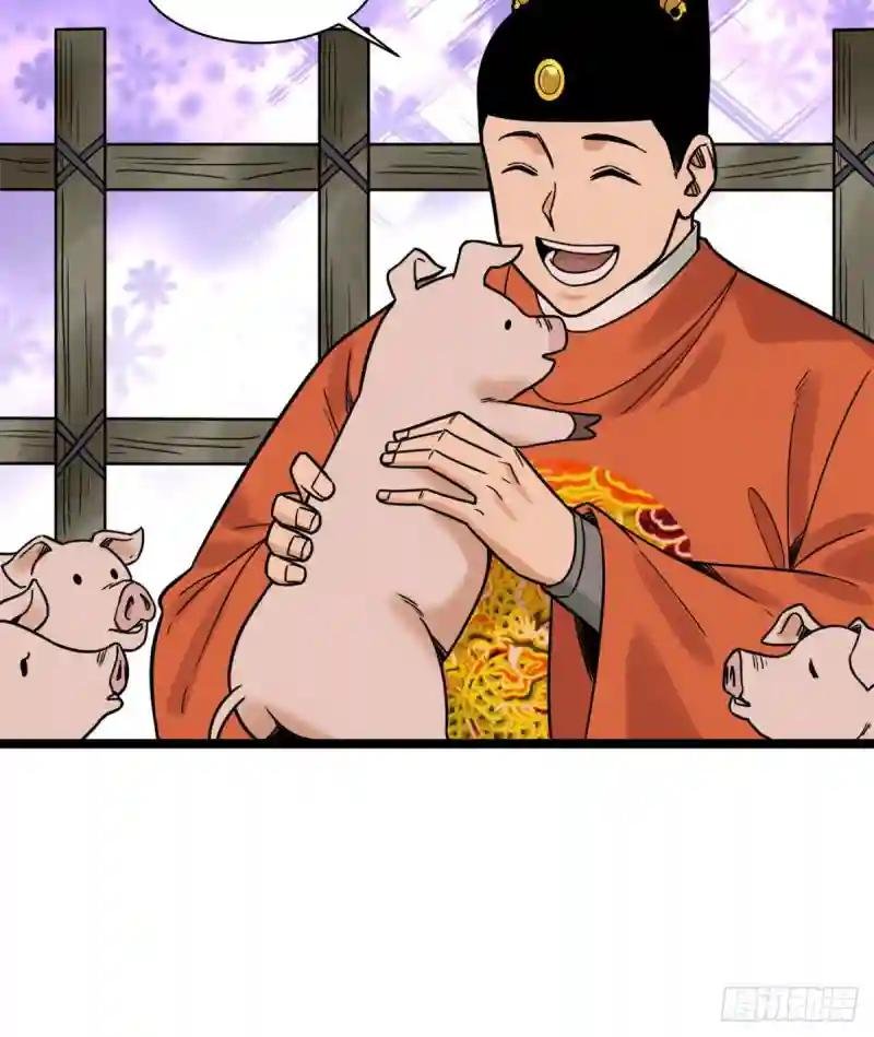 135 改良猪肉品质