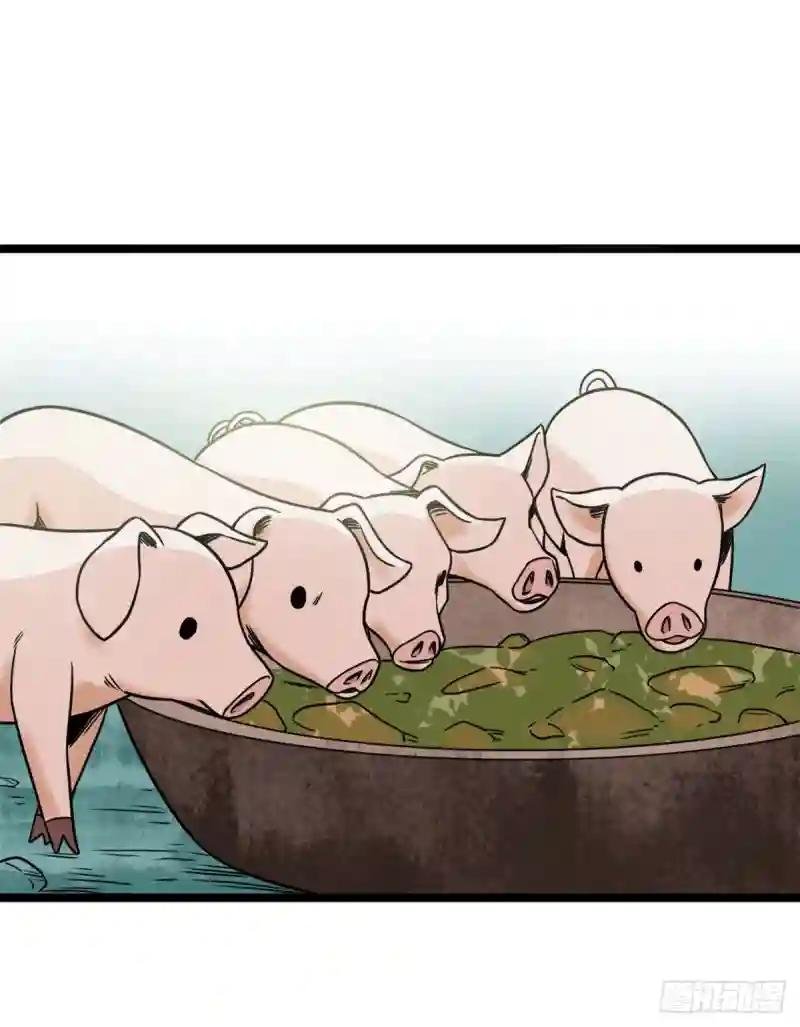 135 改良猪肉品质