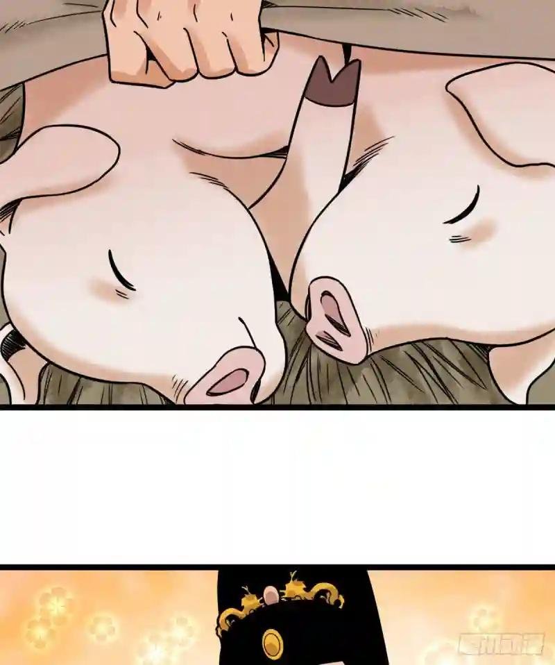 135 改良猪肉品质