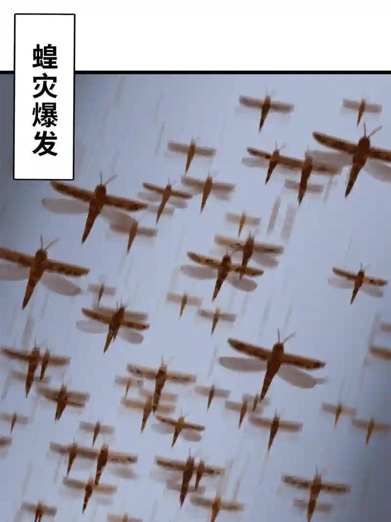 186 蝗虫大饥荒