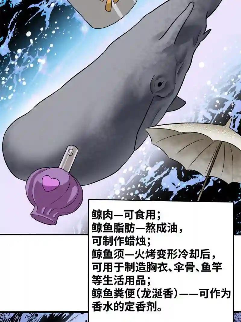 189 捕鲸