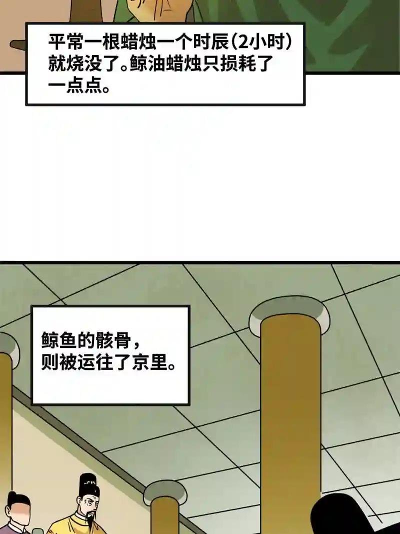 194 鲸鱼带来的震撼