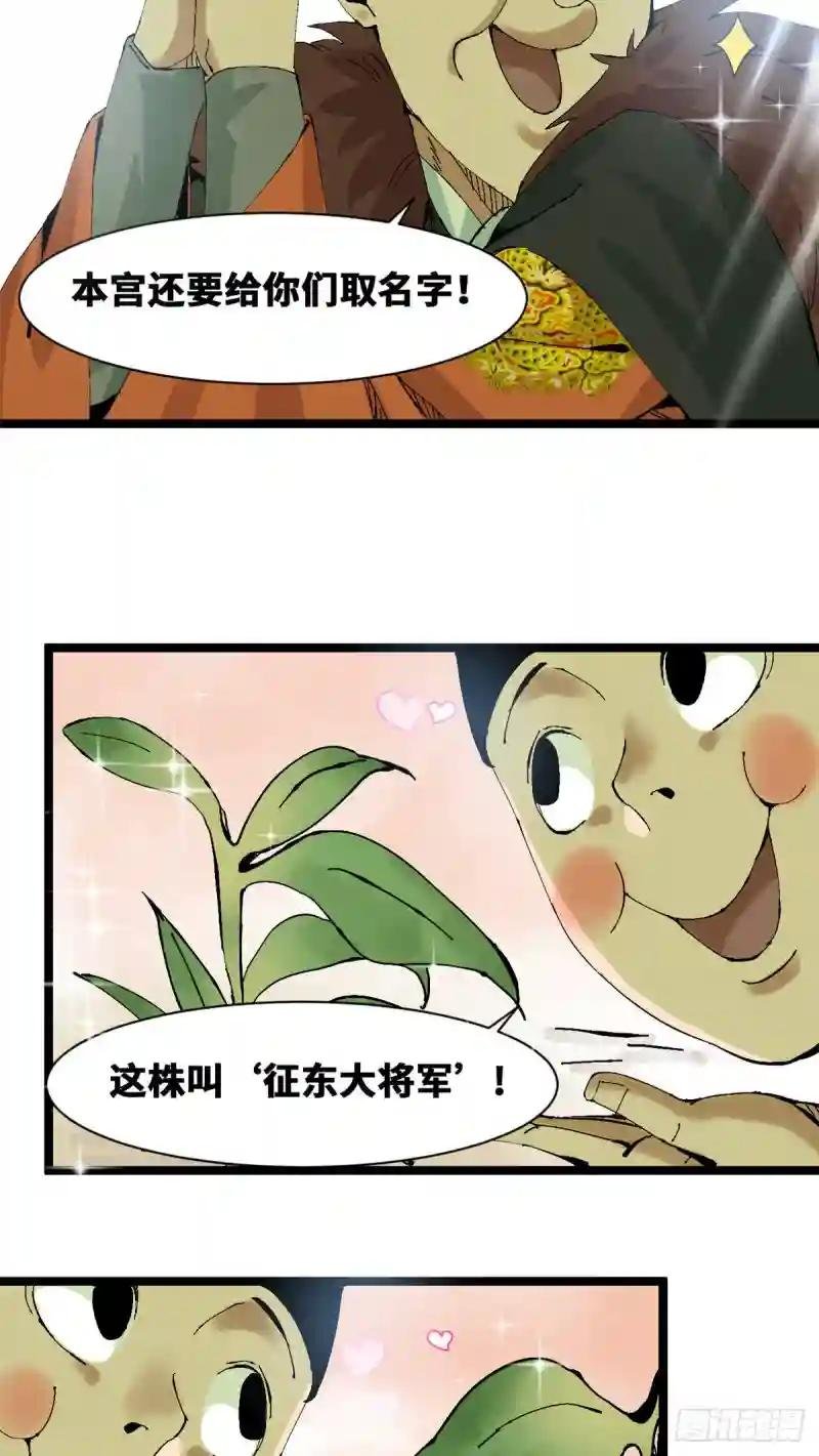 70 冬天的西瓜