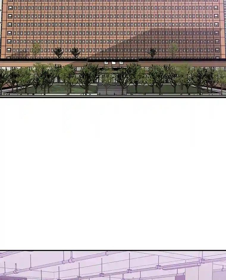 31.我回来了