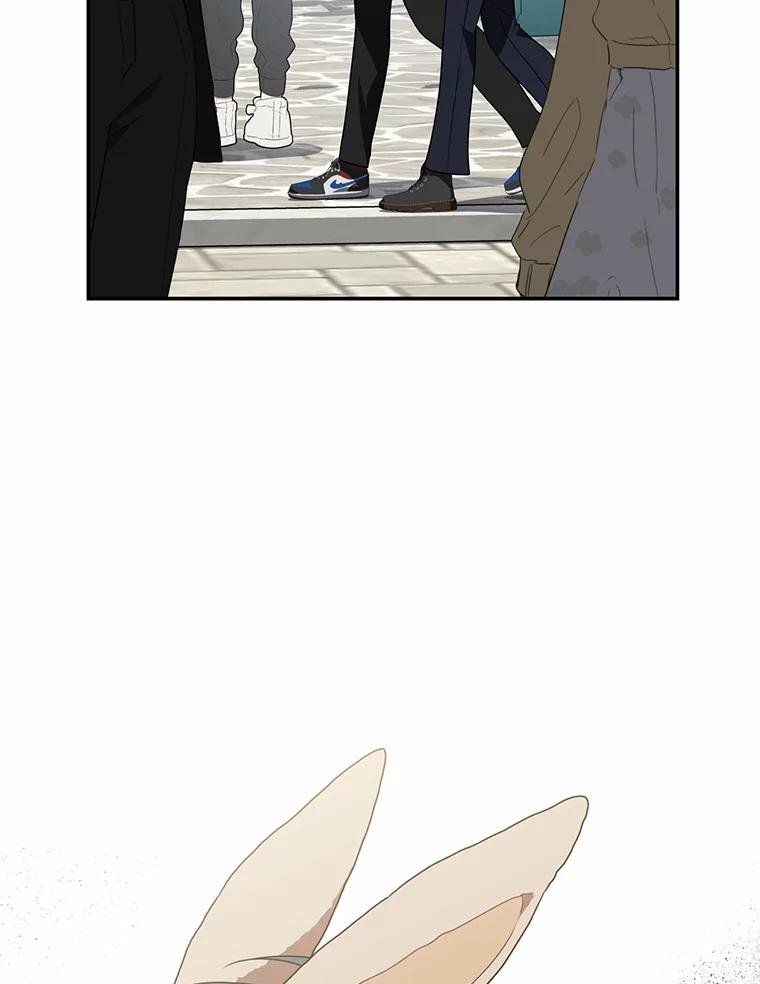 77.要来看猫咪吗？