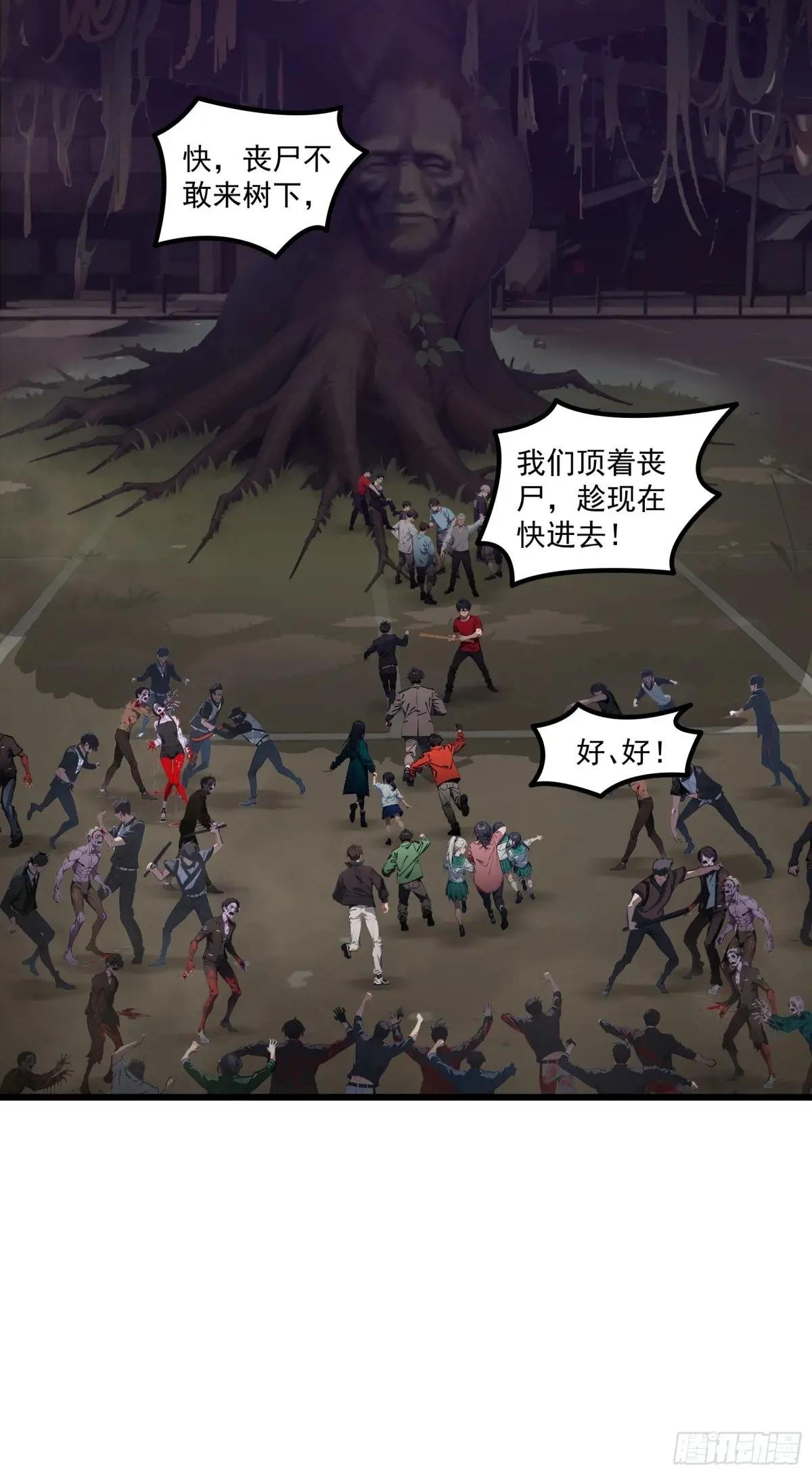 第41话：人面树……大人？