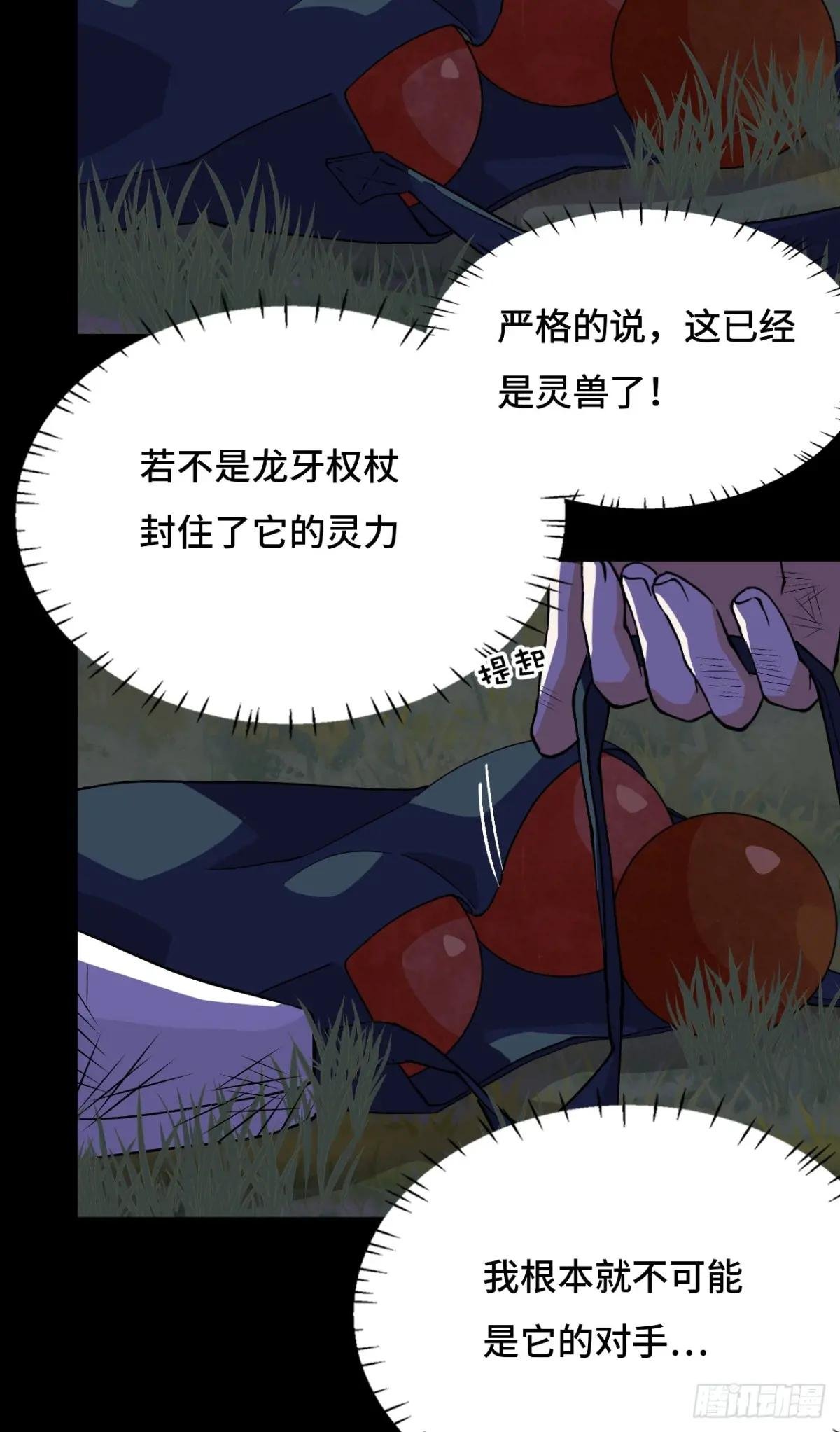 19稀世珍宝