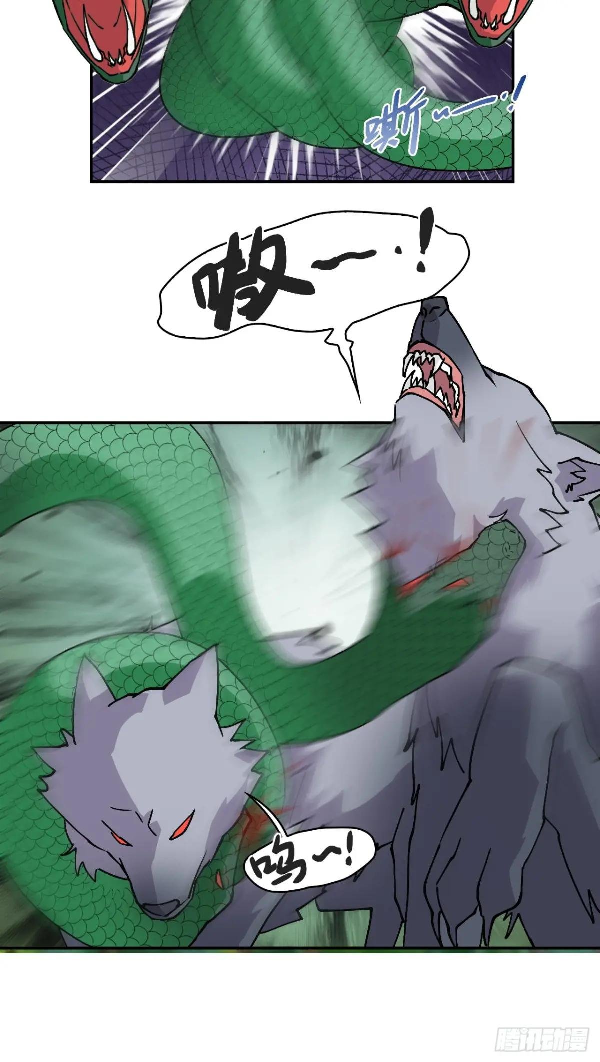 8白狼王